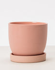 Base Planter Set / Seconds