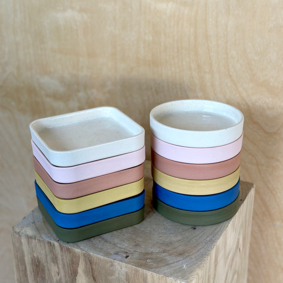 Rainbow Plate Sets (of 6)- Samples