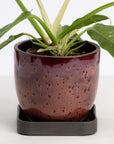 Era Planter Set
