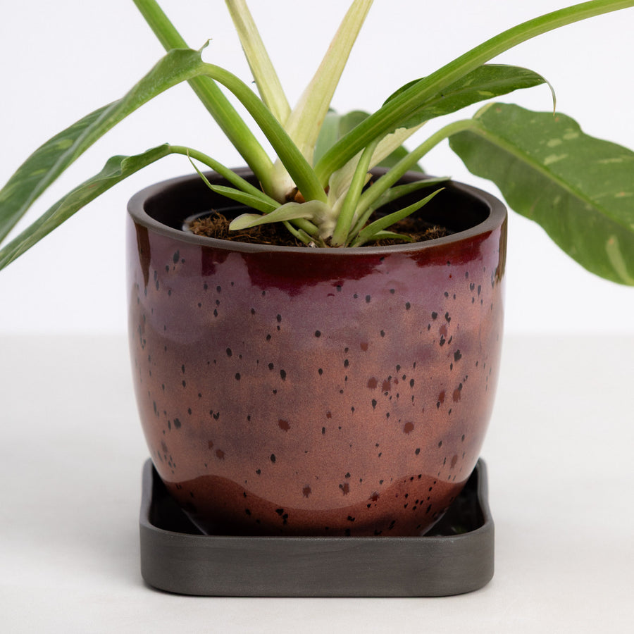 Era Planter Set