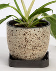 Era Planter Set