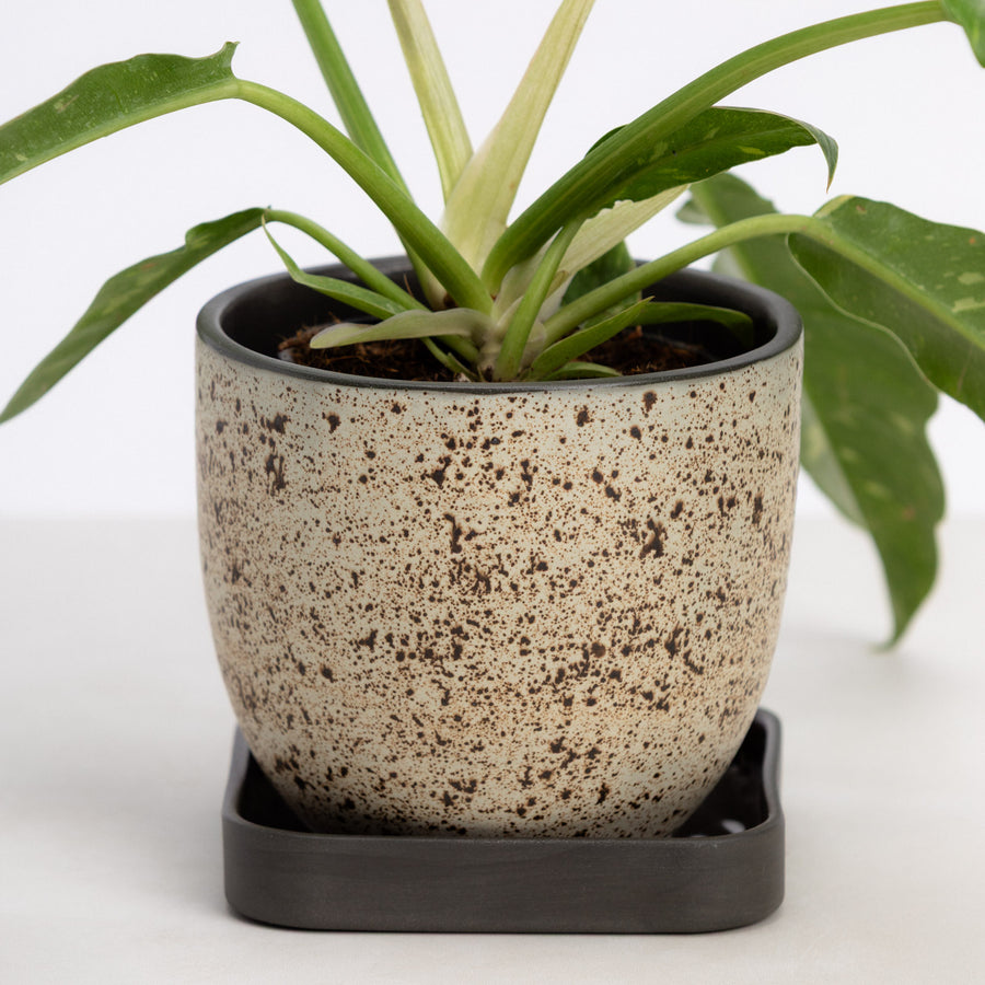 Era Planter Set
