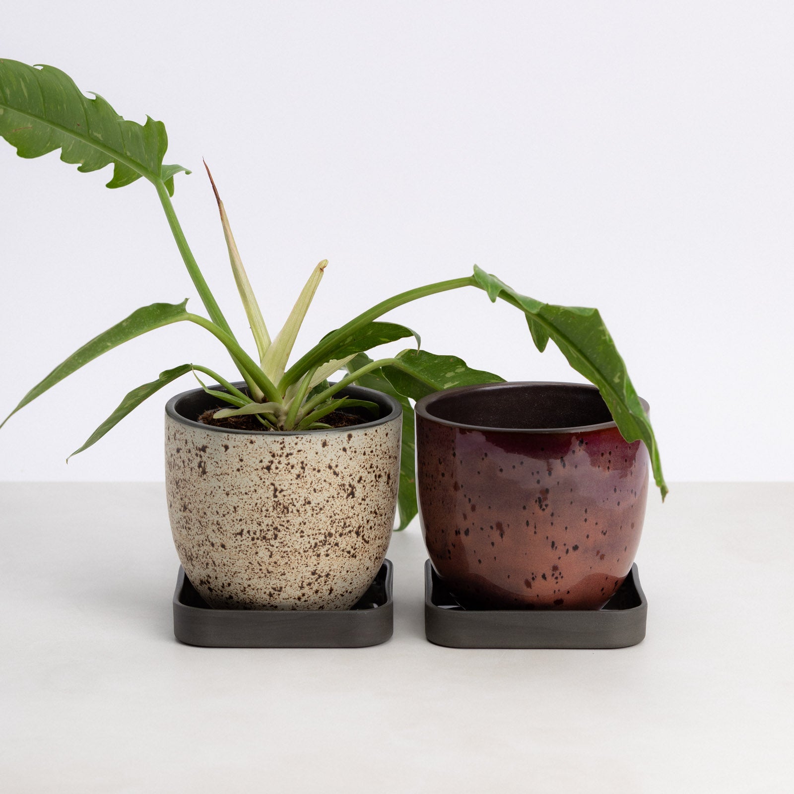 Era Planter Set