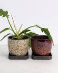 Era Planter Set