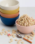 Soup Bowl