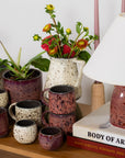 Era Planter Set