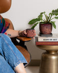 Era Planter Set